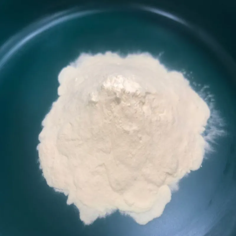 Bagaimanakah Serbuk Protein Sayuran Hidrolisis Menyokong Inovasi Makanan Moden?